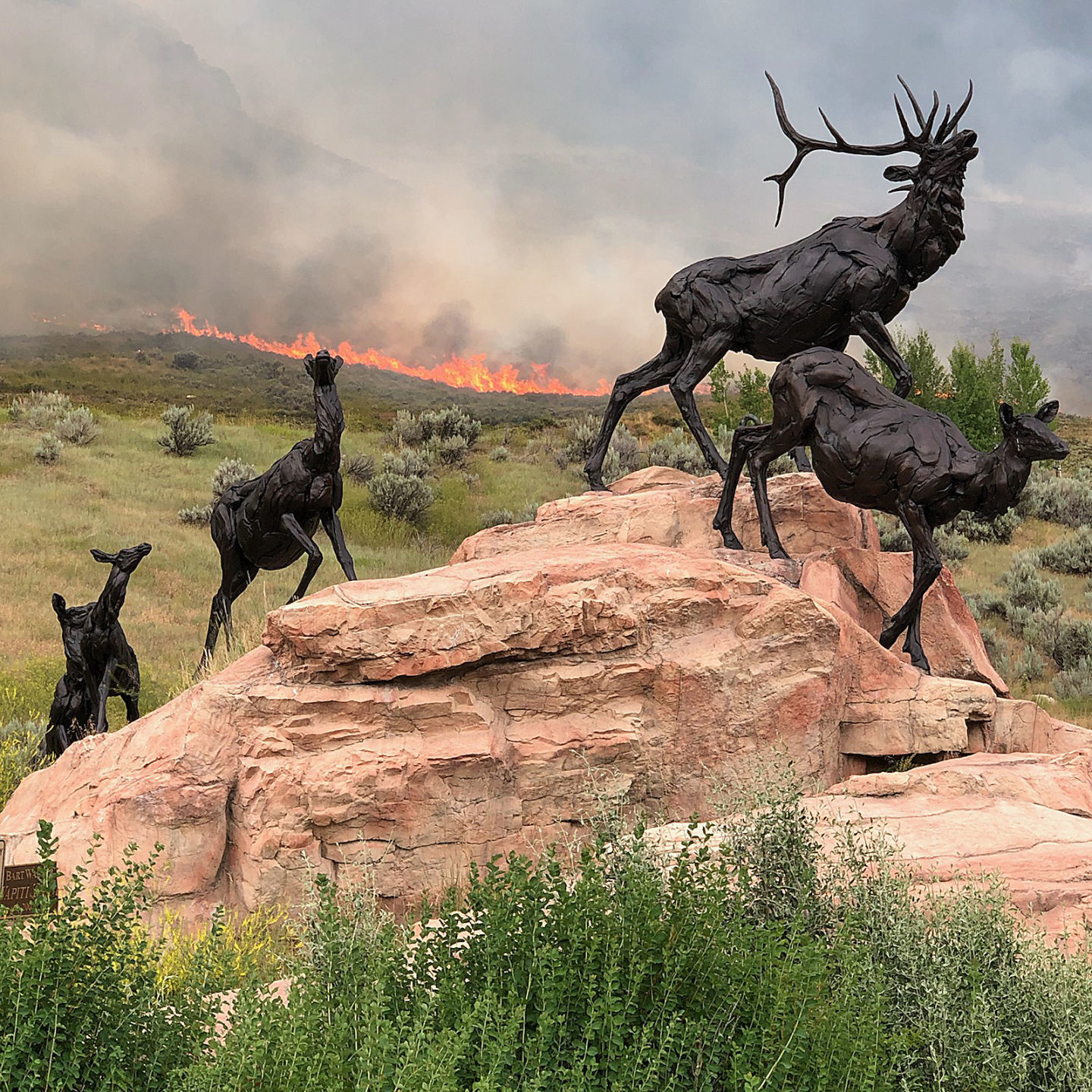 NMWA fire